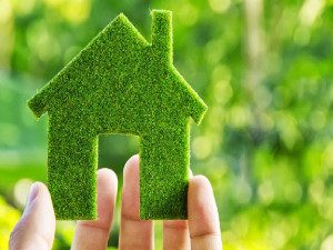 Local Real Estate Websites are Better than National Ones