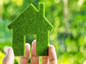Local Real Estate Websites are Better than National Ones